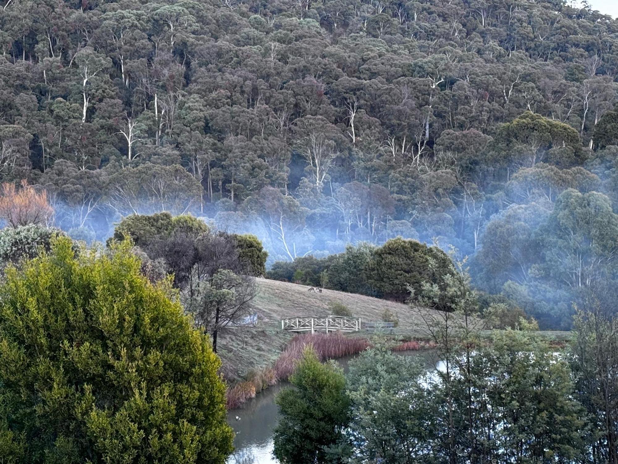 Mt Buller Stayz Merrijig Exterior foto